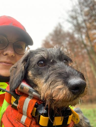 Anton von der Magna Kybele FCI nach erfolgreicher Arbeit an der Sau
