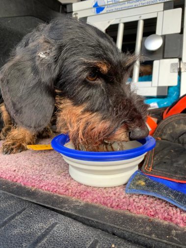 Loisl von Bretano nach erfolgreicher Arbeit an der Sau