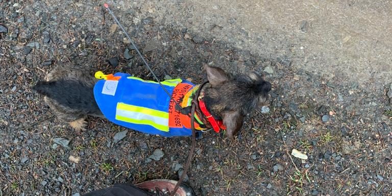 Anton Stöberprüfung 2022